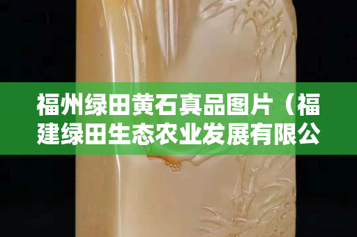 福州绿田黄石真品图片（福建绿田生态农业发展有限公司）