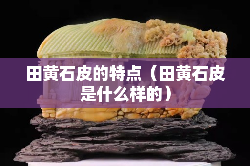 田黄石皮的特点（田黄石皮是什么样的）