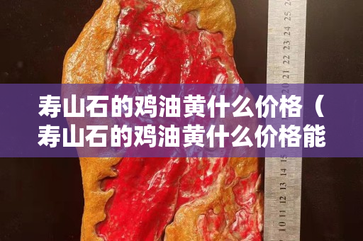 寿山石的鸡油黄什么价格（寿山石的鸡油黄什么价格能买到）