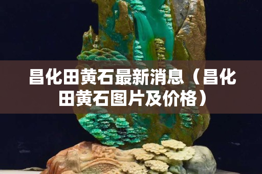 昌化田黄石最新消息（昌化田黄石图片及价格）