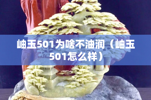 岫玉501为啥不油润（岫玉501怎么样）