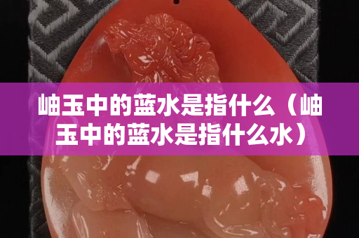 岫玉中的蓝水是指什么（岫玉中的蓝水是指什么水）