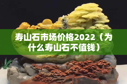 寿山石市场价格2022（为什么寿山石不值钱）