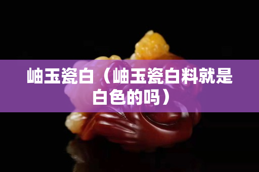 岫玉瓷白（岫玉瓷白料就是白色的吗）