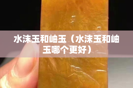 水沫玉和岫玉（水沫玉和岫玉哪个更好）