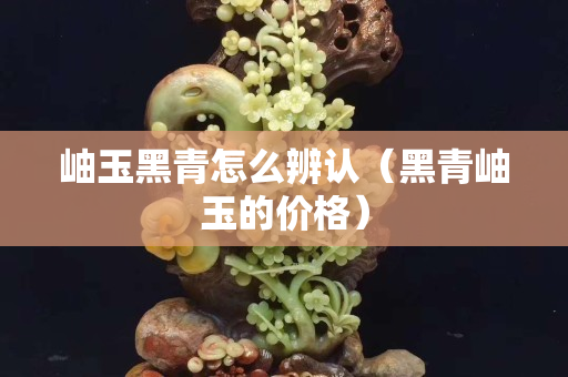 岫玉黑青怎么辨认（黑青岫玉的价格）