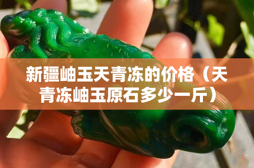 新疆岫玉天青冻的价格（天青冻岫玉原石多少一斤）