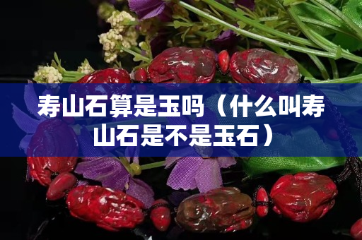 寿山石算是玉吗（什么叫寿山石是不是玉石）