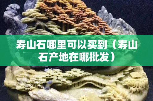 寿山石哪里可以买到（寿山石产地在哪批发）