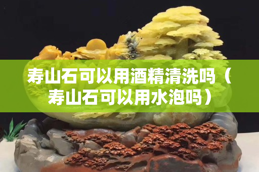 寿山石可以用酒精清洗吗（寿山石可以用水泡吗）