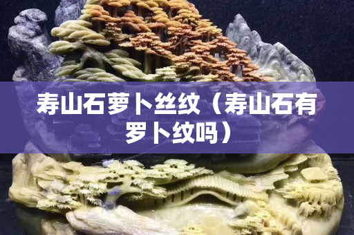 寿山石萝卜丝纹（寿山石有罗卜纹吗）