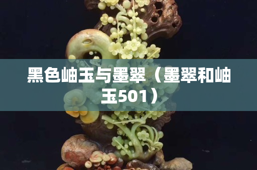 黑色岫玉与墨翠（墨翠和岫玉501）