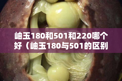 岫玉180和501和220哪个好（岫玉180与501的区别）