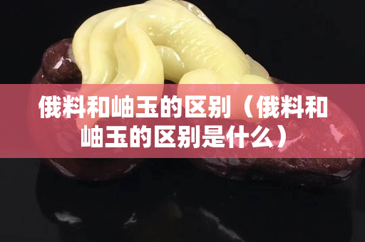 俄料和岫玉的区别（俄料和岫玉的区别是什么）