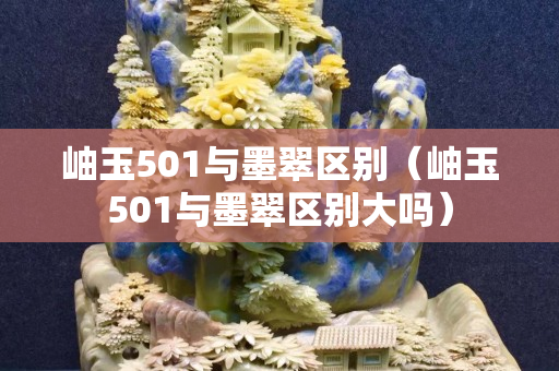 岫玉501与墨翠区别（岫玉501与墨翠区别大吗）