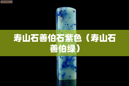 寿山石善伯石紫色（寿山石善伯绿）