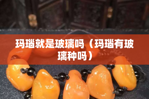 玛瑙就是玻璃吗（玛瑙有玻璃种吗）