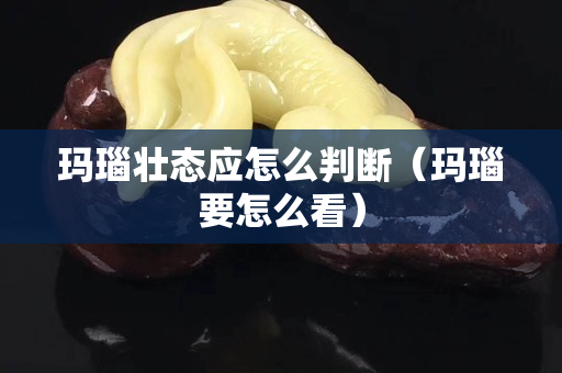 玛瑙壮态应怎么判断（玛瑙要怎么看）