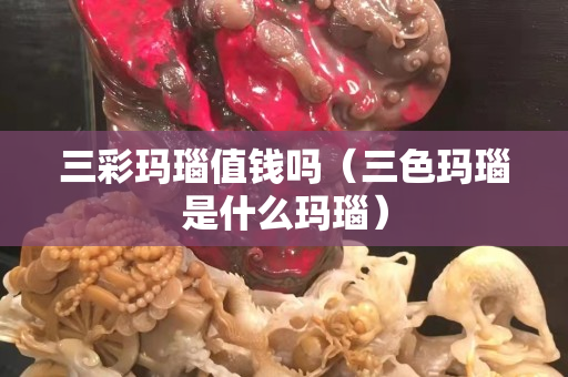 三彩玛瑙值钱吗（三色玛瑙是什么玛瑙）