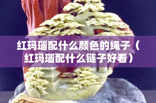 红玛瑙配什么颜色的绳子（红玛瑙配什么链子好看）