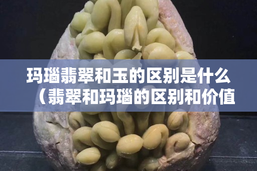 玛瑙翡翠和玉的区别是什么（翡翠和玛瑙的区别和价值）