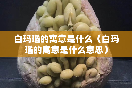 白玛瑙的寓意是什么（白玛瑙的寓意是什么意思）