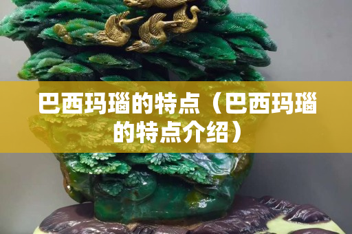 巴西玛瑙的特点（巴西玛瑙的特点介绍）