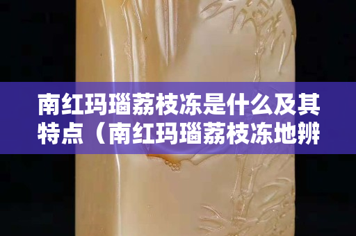 南红玛瑙荔枝冻是什么及其特点（南红玛瑙荔枝冻地辨别真假）