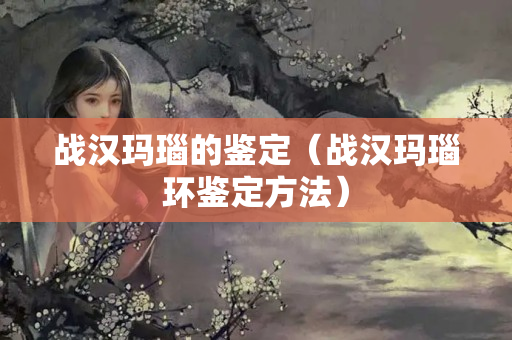 战汉玛瑙的鉴定（战汉玛瑙环鉴定方法）