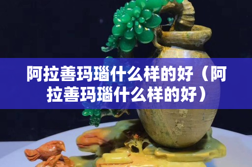 阿拉善玛瑙什么样的好（阿拉善玛瑙什么样的好）