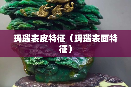 玛瑙表皮特征（玛瑙表面特征）