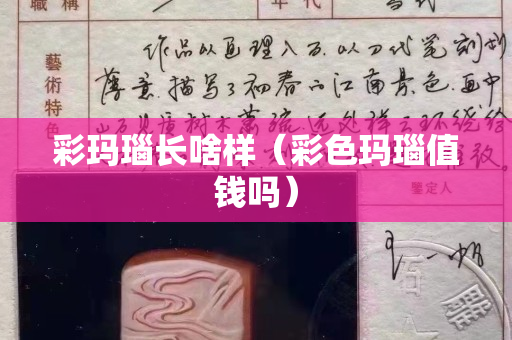 彩玛瑙长啥样（彩色玛瑙值钱吗）