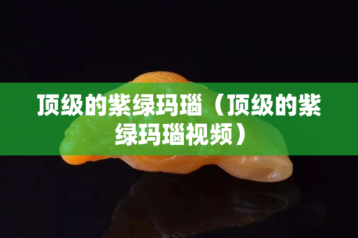 顶级的紫绿玛瑙（顶级的紫绿玛瑙视频）