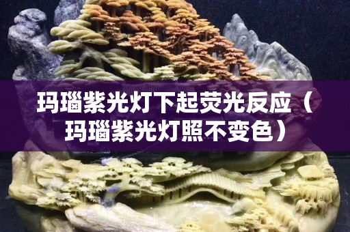 玛瑙紫光灯下起荧光反应（玛瑙紫光灯照不变色）