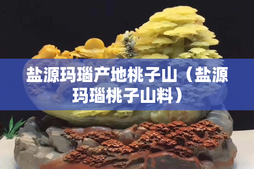 盐源玛瑙产地桃子山（盐源玛瑙桃子山料）