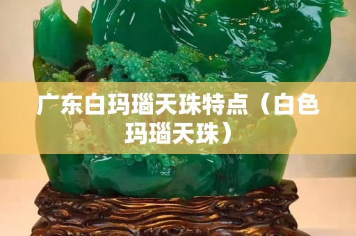 广东白玛瑙天珠特点（白色玛瑙天珠）