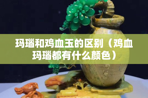 玛瑙和鸡血玉的区别（鸡血玛瑙都有什么颜色）