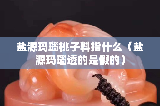 盐源玛瑙桃子料指什么（盐源玛瑙透的是假的）