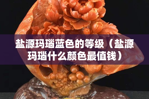 盐源玛瑙蓝色的等级（盐源玛瑙什么颜色最值钱）