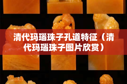 清代玛瑙珠子孔道特征（清代玛瑙珠子图片欣赏）