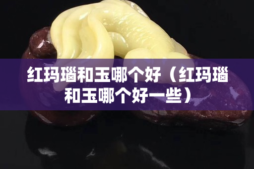 红玛瑙和玉哪个好（红玛瑙和玉哪个好一些）