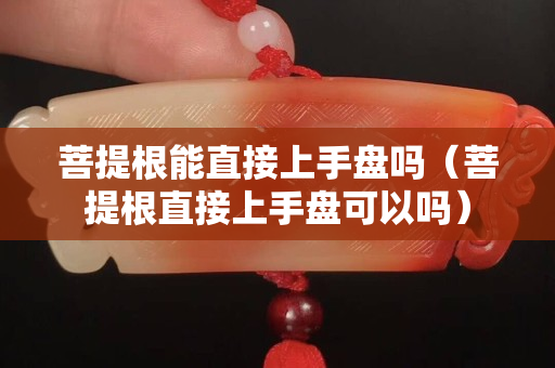 菩提根能直接上手盘吗（菩提根直接上手盘可以吗）