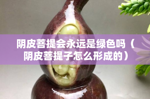 阴皮菩提会永远是绿色吗（阴皮菩提子怎么形成的）