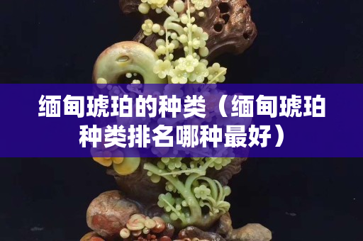 缅甸琥珀的种类（缅甸琥珀种类排名哪种最好）