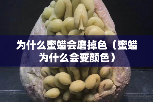 为什么蜜蜡会磨掉色（蜜蜡为什么会变颜色）