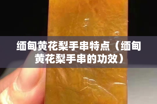 缅甸黄花梨手串特点（缅甸黄花梨手串的功效）