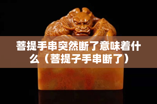 菩提手串突然断了意味着什么（菩提子手串断了）