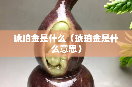 琥珀金是什么（琥珀金是什么意思）