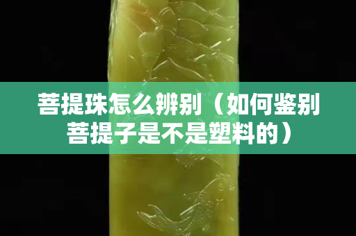 菩提珠怎么辨别（如何鉴别菩提子是不是塑料的）