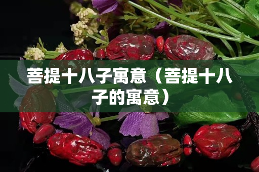 菩提十八子寓意（菩提十八子的寓意）